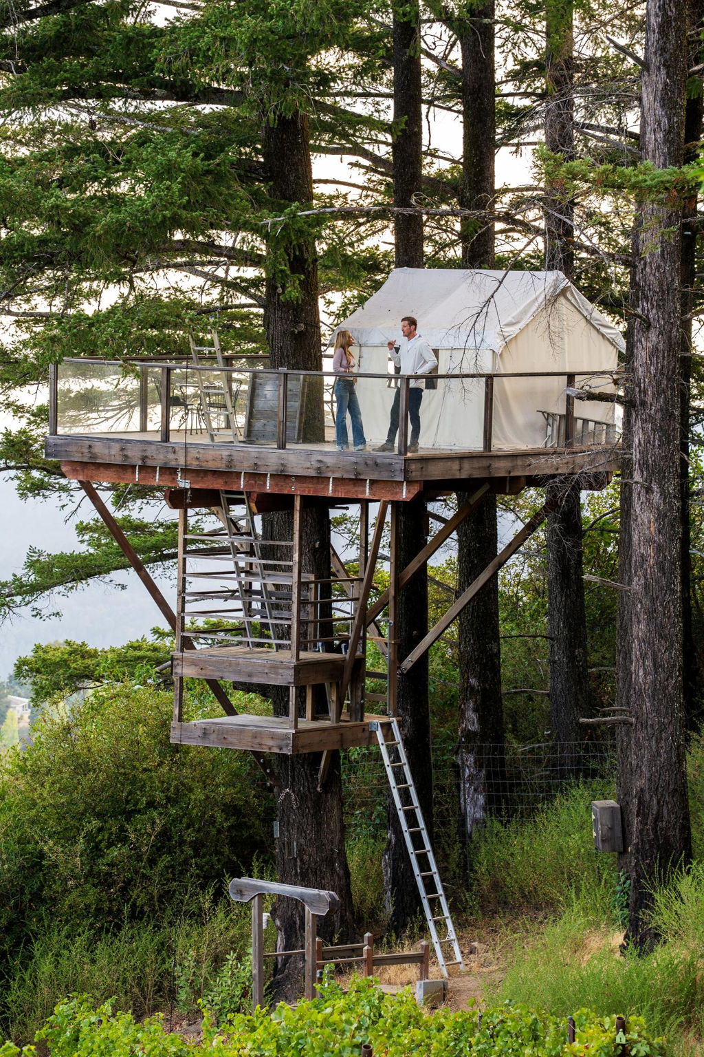Lago Lomita Treehouse
